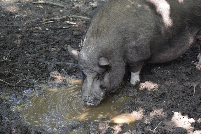 能改变他们 能改变他们