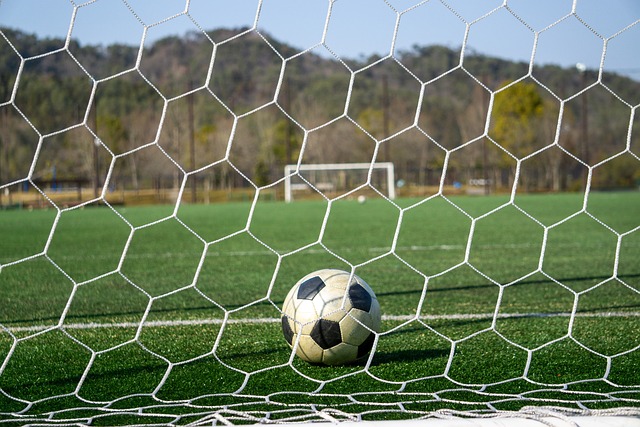 的两粒精彩 的两粒精彩