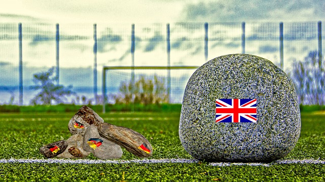 也可能适用 也可能适用