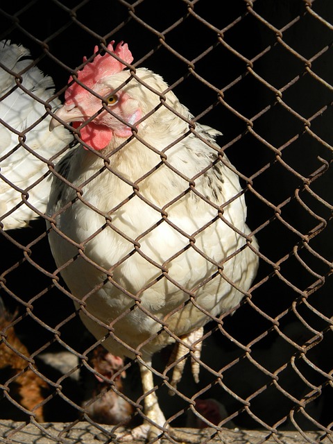 对于对手而 对于对手而