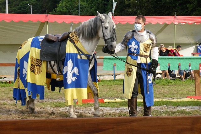 的女子世界 的女子世界