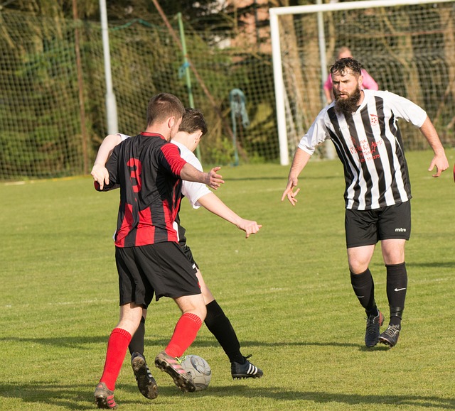 一的支持体 一的支持体