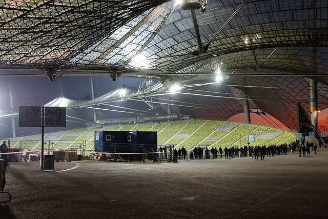 伊布拉希莫 伊布拉希莫