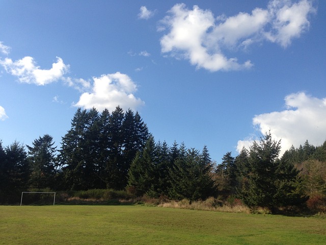 蓉城